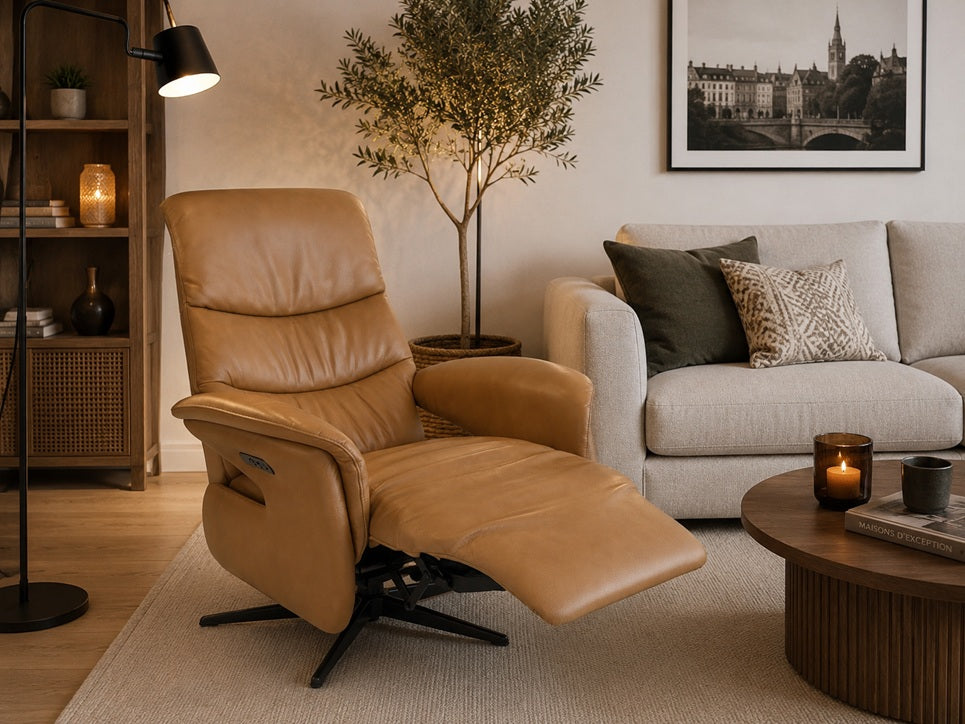 Fauteuil Relax Electrique